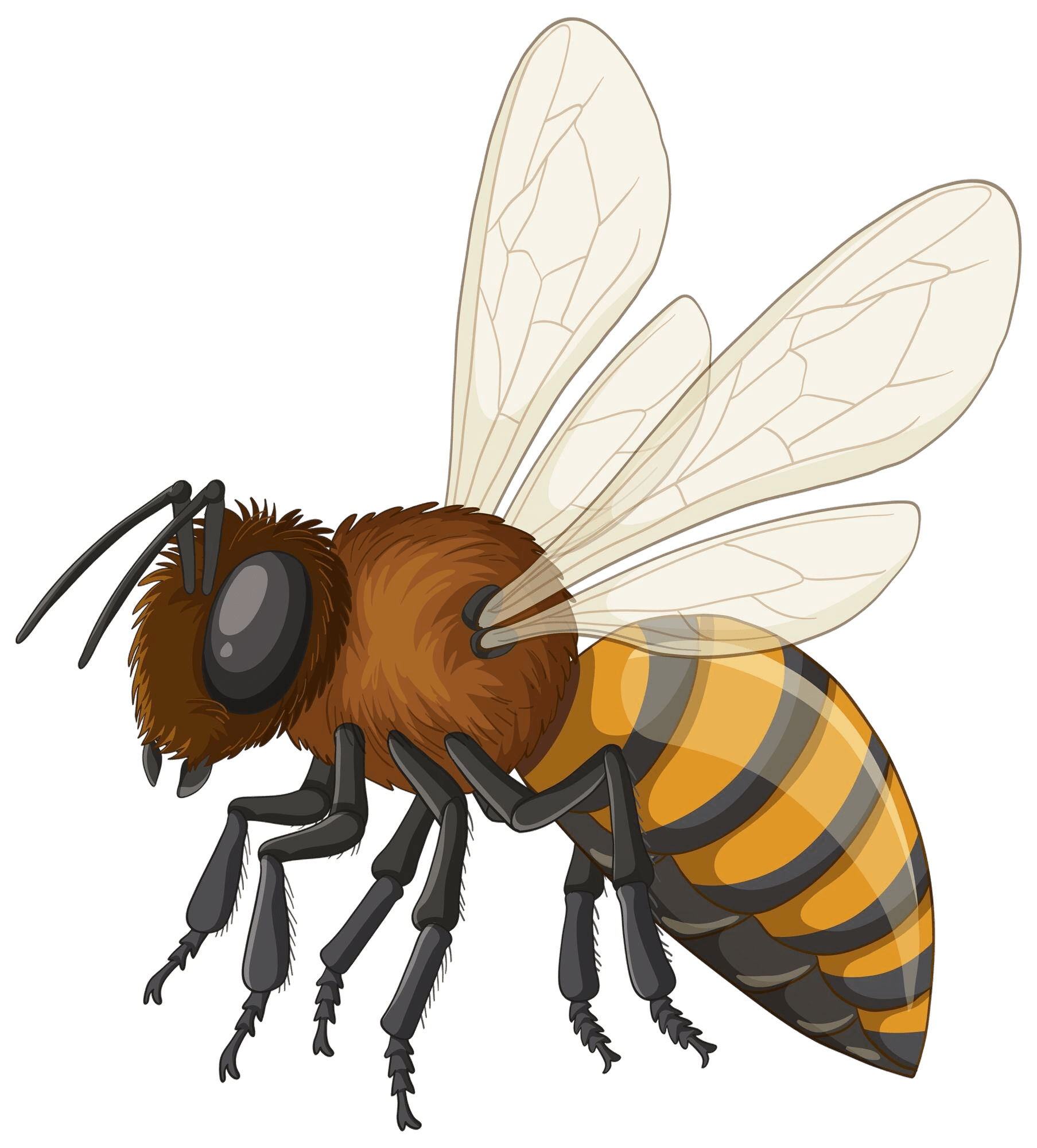 Bee