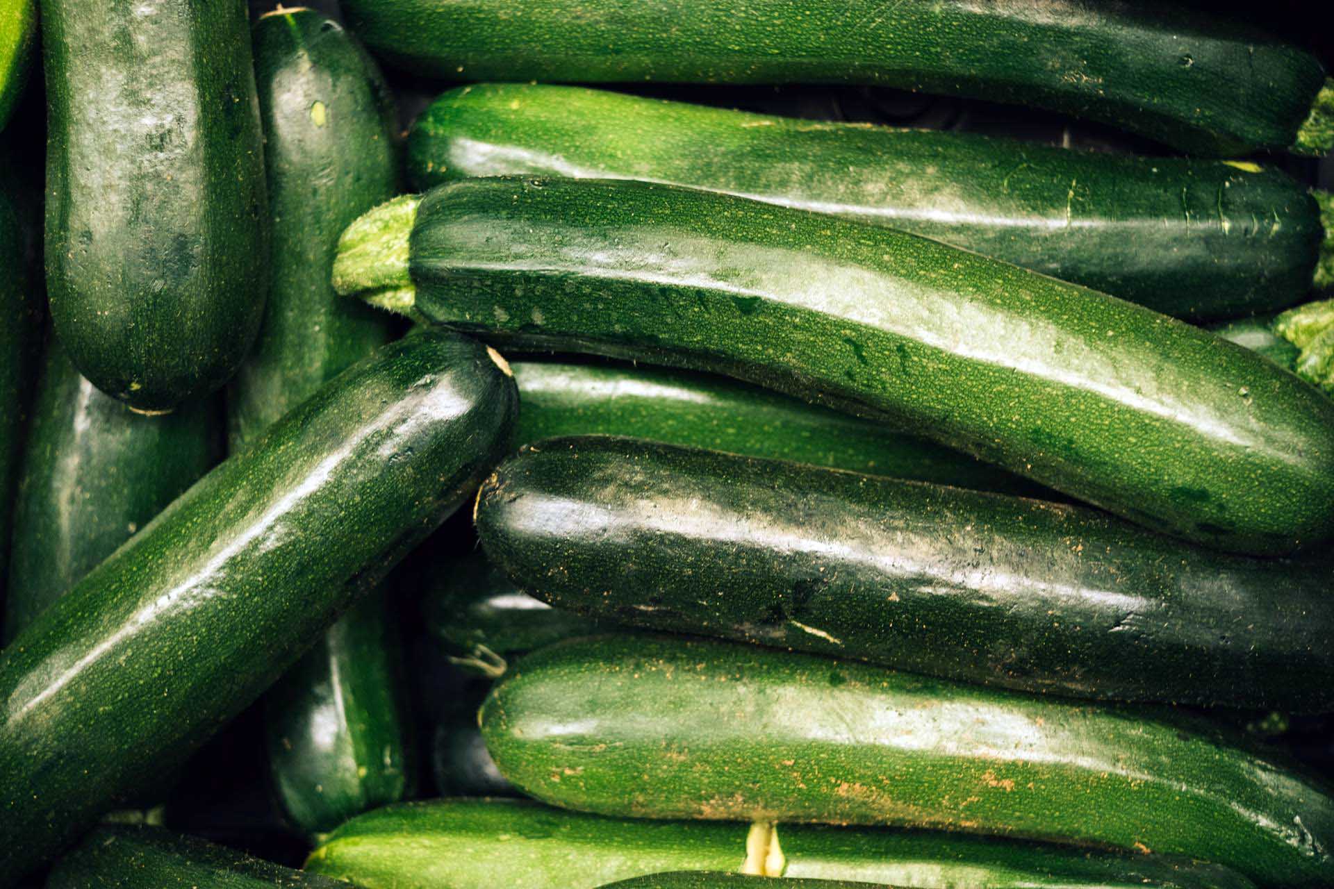 Cucumber