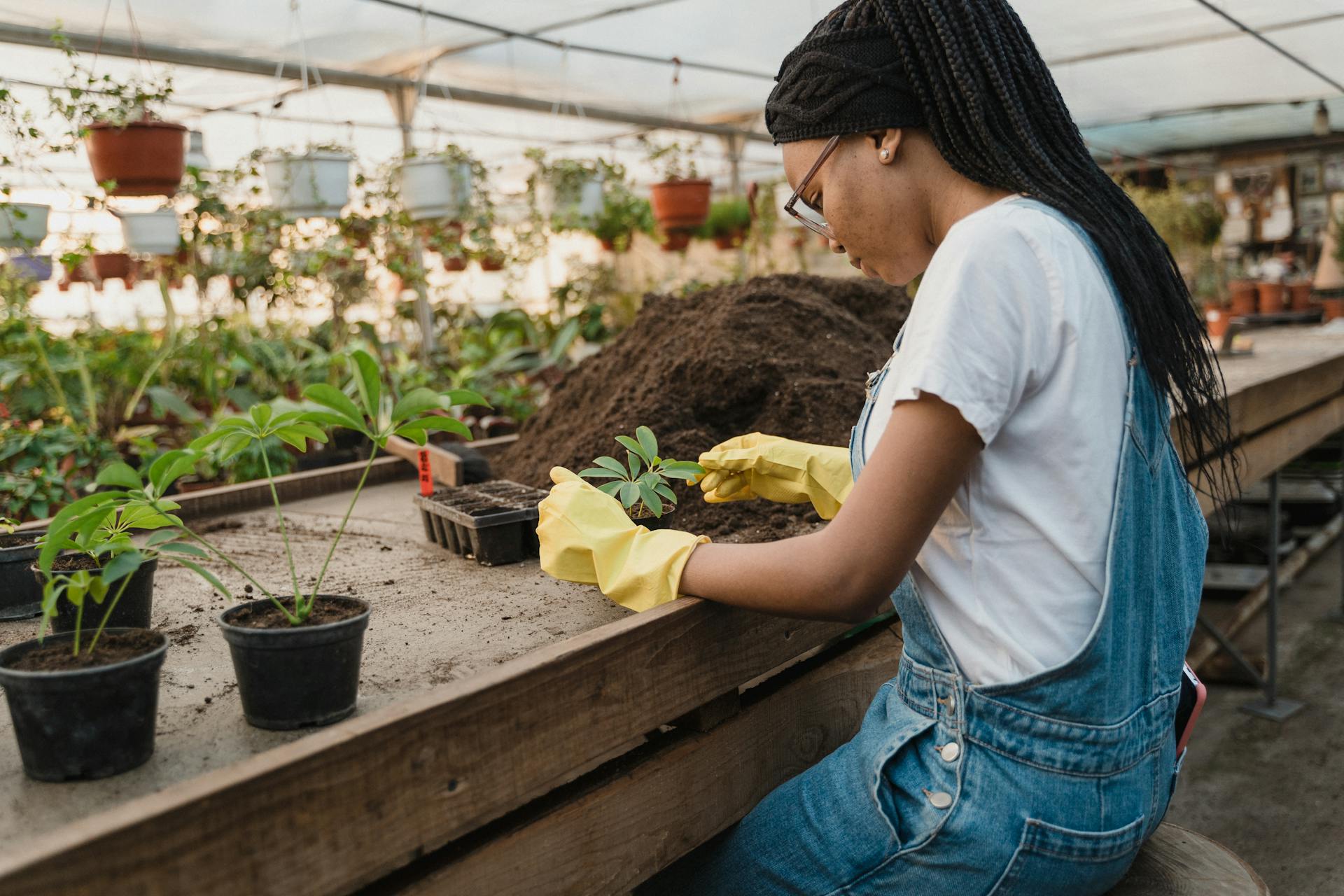 Greenhouse Management